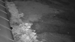 Nástup na běžecké tratě