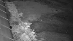 Nástup na běžecké tratě