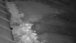 Nástup na běžecké tratě