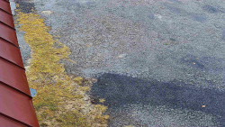 Nástup na běžecké tratě