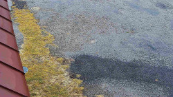 Nástup na běžecké tratě