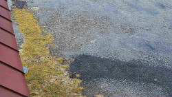 Nástup na běžecké tratě