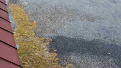 Nástup na běžecké tratě