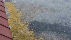 Nástup na běžecké tratě