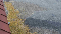 Nástup na běžecké tratě