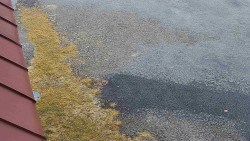 Nástup na běžecké tratě