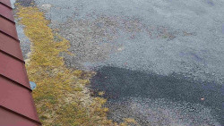 Nástup na běžecké tratě