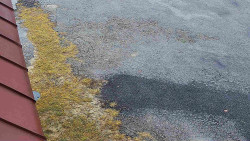 Nástup na běžecké tratě