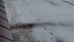 Nástup na běžecké tratě