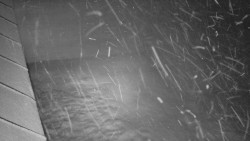 Nástup na běžecké tratě