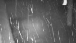 Nástup na běžecké tratě