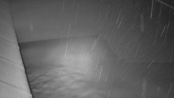 Nástup na běžecké tratě