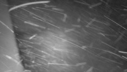 Nástup na běžecké tratě