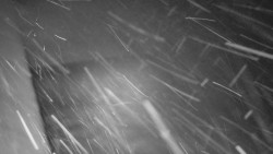 Nástup na běžecké tratě