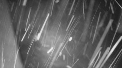 Nástup na běžecké tratě