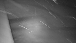 Nástup na běžecké tratě