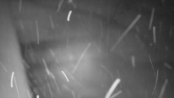 Nástup na běžecké tratě