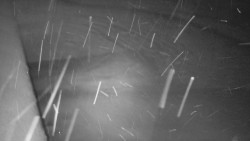 Nástup na běžecké tratě