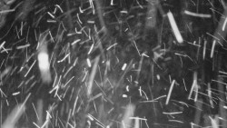 Nástup na běžecké tratě