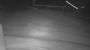 SkiAreál - Horský hotel Vsacký Cáb - Nástup na běžecké tratě - 15.2.2026 v 04:45