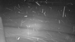 Nástup na běžecké tratě