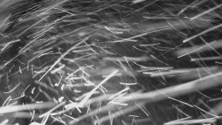 Nástup na běžecké tratě