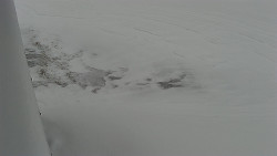 Nástup na běžecké tratě