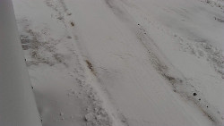 Nástup na běžecké tratě