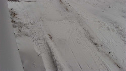 Nástup na běžecké tratě