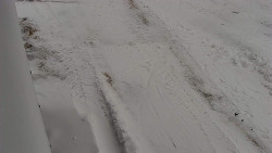 Nástup na běžecké tratě