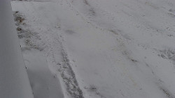 Nástup na běžecké tratě