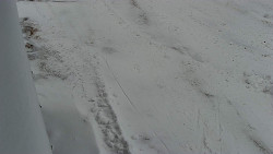 Nástup na běžecké tratě