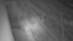 Nástup na běžecké tratě