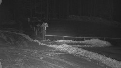 Nástup na běžecké tratě