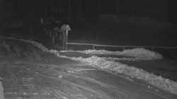 Nástup na běžecké tratě