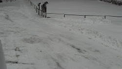 Nástup na běžecké tratě