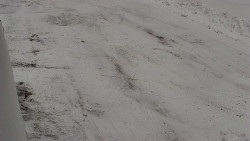 Nástup na běžecké tratě