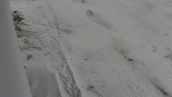 Nástup na běžecké tratě