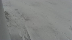 Nástup na běžecké tratě