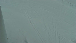 Nástup na běžecké tratě