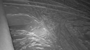 SkiAreál - Horský hotel Vsacký Cáb - Nástup na běžecké tratě - 19.2.2026 v 00:45