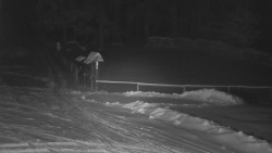 Nástup na běžecké tratě