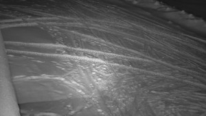 SkiAreál - Horský hotel Vsacký Cáb - Nástup na běžecké tratě - 19.2.2026 v 05:45