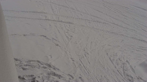 SkiAreál - Horský hotel Vsacký Cáb - Nástup na běžecké tratě - 19.2.2026 v 08:31