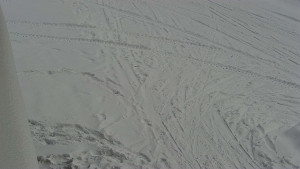 SkiAreál - Horský hotel Vsacký Cáb - Nástup na běžecké tratě - 19.2.2026 v 09:16