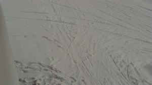 SkiAreál - Horský hotel Vsacký Cáb - Nástup na běžecké tratě - 19.2.2026 v 10:00