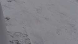 Nástup na běžecké tratě