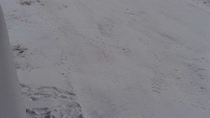 SkiAreál - Horský hotel Vsacký Cáb - Nástup na běžecké tratě - 19.2.2026 v 11:31