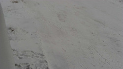 Nástup na běžecké tratě