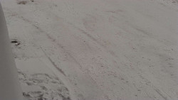 Nástup na běžecké tratě